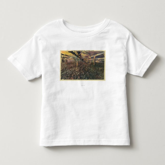 Camiseta De Bebé Opinión interior el JR Simplot que deshidrata el (Anverso)