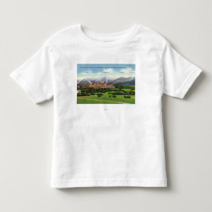 Camiseta De Bebé Opinión presidencial de la gama