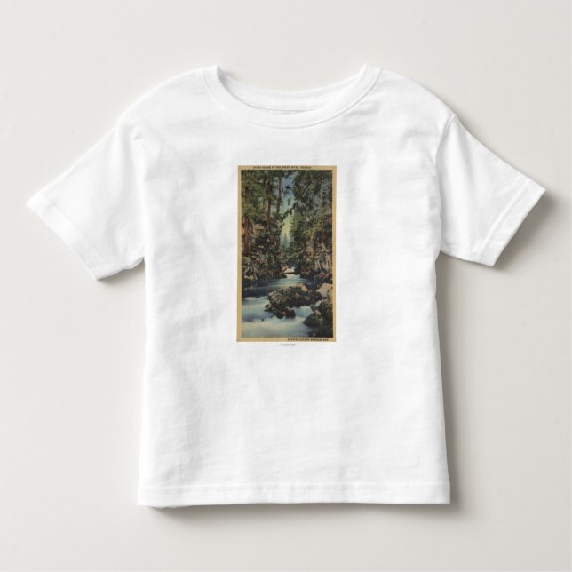 Camiseta De Bebé Opinión superior del río del granuja, Oregon - (Anverso)