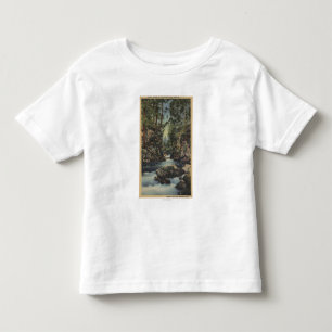 Camiseta De Bebé Opinión superior del río del granuja, Oregon -