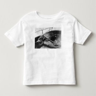 Camiseta De Bebé Opinión una tortuga de mar gigante en cautiverio