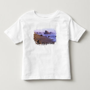 Camiseta De Bebé OR, Costa de Oregón, Myers Creek, formaciones roco