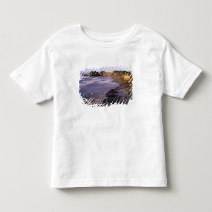 Camiseta De Bebé OR, Costa de Oregón, Newport, costa en Seal