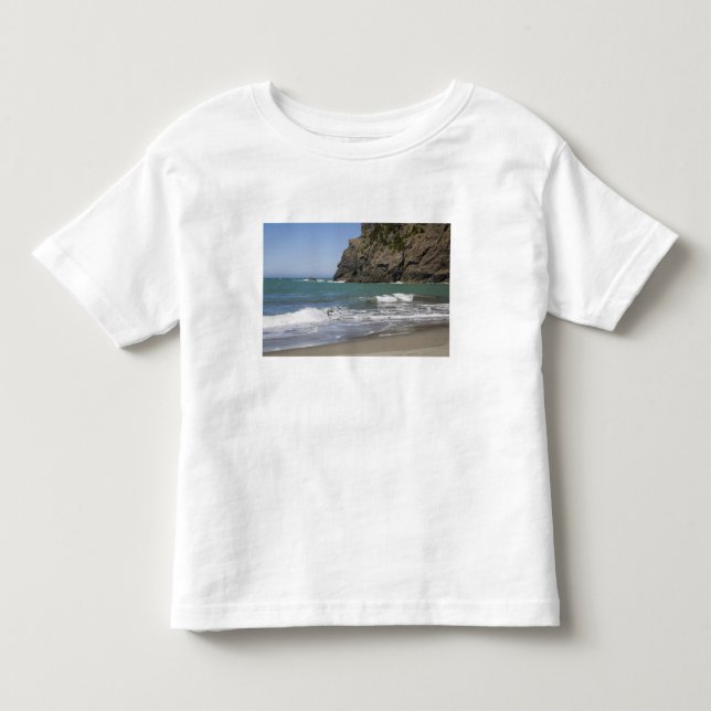 Camiseta De Bebé OR, Costa de Oregón, Playa Whaleshead, Sur (Anverso)