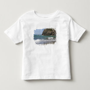 Camiseta De Bebé OR, Costa de Oregón, Whaleshead Beach, Sur