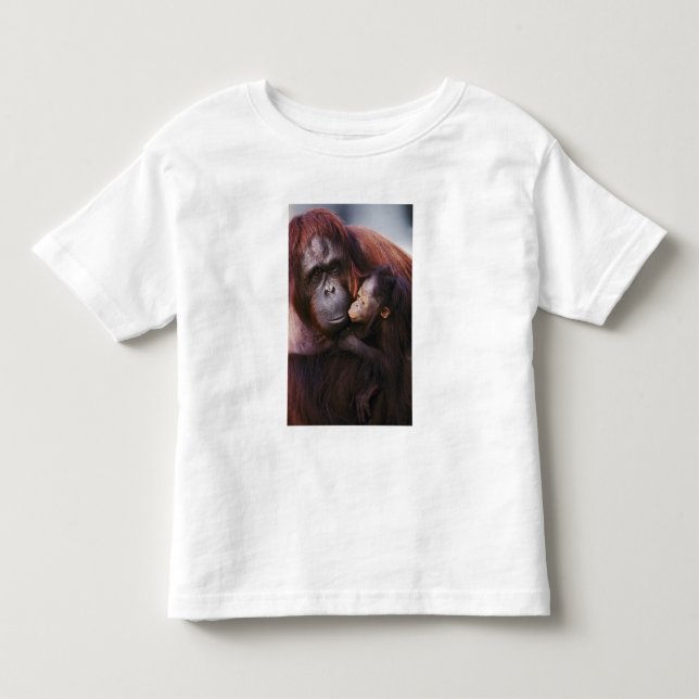 Camiseta De Bebé Orangután hembra de Sumatra con cría, Pongo (Anverso)