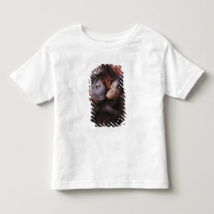 Camiseta De Bebé Orangután hembra de Sumatra con cría, Pongo