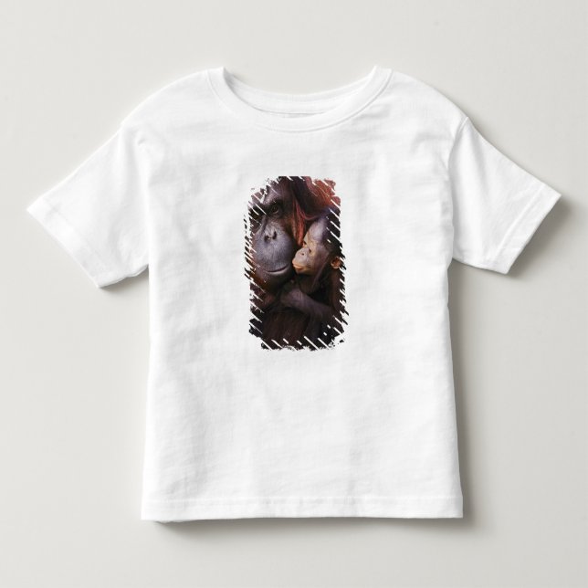 Camiseta De Bebé Orangután hembra de Sumatra con cría, Pongo (Anverso)