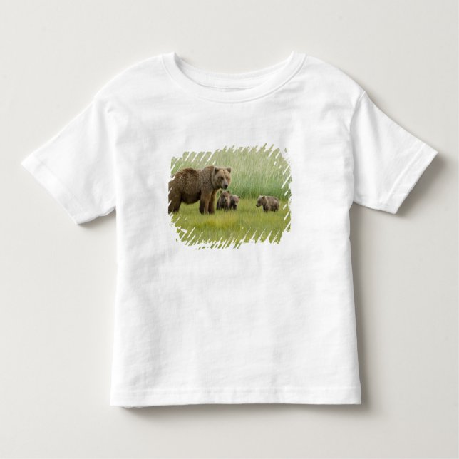Camiseta De Bebé Oso marrón de Alaska y tres cubos, Ursus (Anverso)