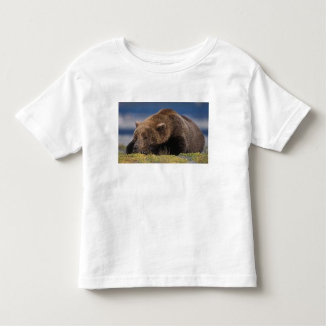 Camiseta De Bebé Oso marrón, oso pardo, tomando una siesta, Katmai (Anverso)