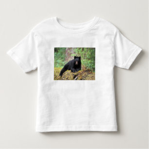 Camiseta De Bebé Oso negro en un viejo tronco de crecimiento en el