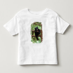Camiseta De Bebé oso negro, Ursus americanus, cría en un árbol