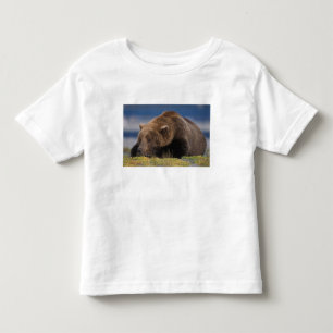 Camiseta De Bebé Oso pardo, oso grizzly, tomando una siesta, Katmai