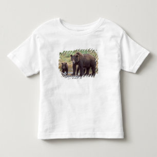 Camiseta De Bebé oso pardo, Ursus arctos, oso grizzly, Ursus 3