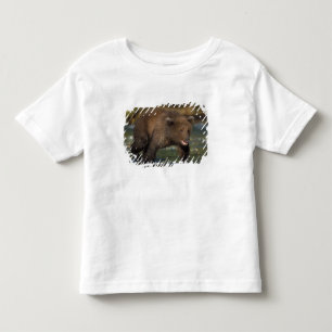 Camiseta De Bebé oso pardo, Ursus arctos, oso grizzly, Ursus 6