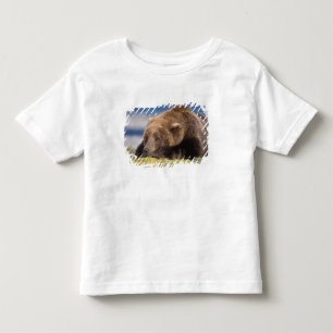 Camiseta De Bebé oso pardo, Ursus arctos, oso grizzly, Ursus 8