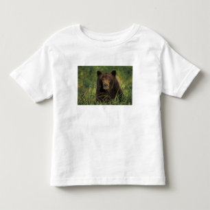 Camiseta De Bebé oso pardo, Ursus arctos, oso grizzly, Ursus 9