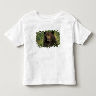 Camiseta De Bebé oso pardo, Ursus arctos, oso grizzly, Ursus 9