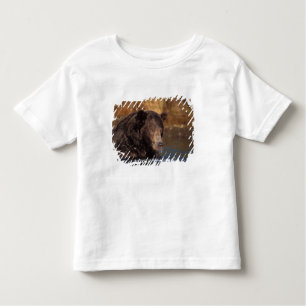 Camiseta De Bebé oso pardo, Ursus arctos, oso pardo, Ursus 5