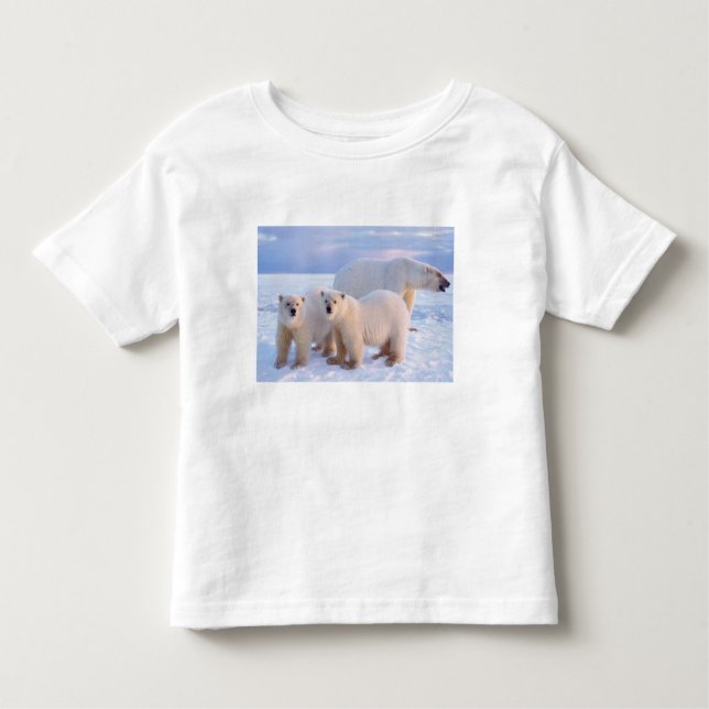 Camiseta De Bebé Oso polar sembrado con cachorros en hielo empacado (Anverso)