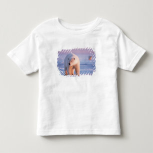 Camiseta De Bebé oso polar, Ursus maritimus