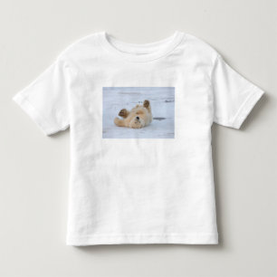 Camiseta De Bebé oso polar, Ursus maritimus, cachorro rodando 3