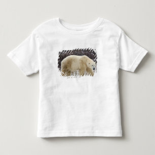 Camiseta De Bebé Oso polar Ursus maritimus) en Churchill