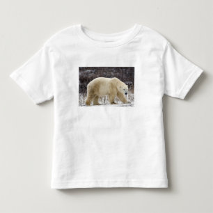 Camiseta De Bebé Oso polar Ursus maritimus) en Churchill