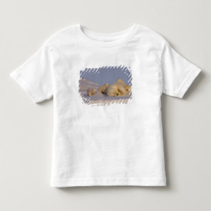 Camiseta De Bebé oso polar, Ursus maritimus, hembra jugando