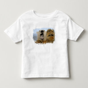 Camiseta De Bebé oso polar, Ursus maritimus, mira con curiosidad