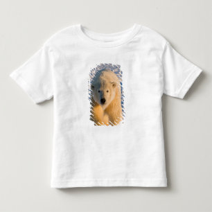Camiseta De Bebé oso polar, Ursus maritimus, oso polar en hielo