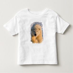 Camiseta De Bebé oso polar, Ursus maritimus, oso polar sobre hielo