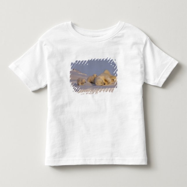 Camiseta De Bebé oso polar, Ursus maritimus, siembra (Anverso)