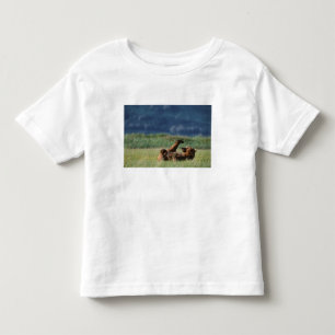Camiseta De Bebé Osos pardos en juego, Ursus arctos, Alaska