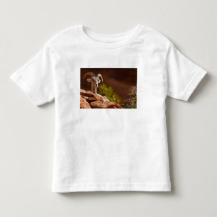 Camiseta De Bebé Oveja de cuernos grandes del desierto (Ovis canade