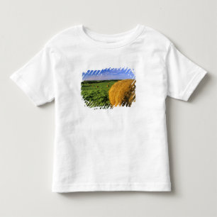 Camiseta De Bebé Pacas de heno cerca de Bottineau Dakota del Norte