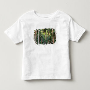 Camiseta De Bebé Pacífico Sur, Polinesia Francesa, Bora Bora.