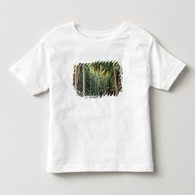 Camiseta De Bebé Pacífico Sur, Polinesia Francesa, Bora Bora. (Anverso)