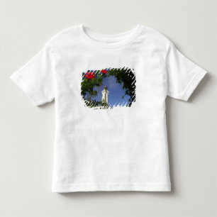 Camiseta De Bebé Pacífico Sur, Polinesia Francesa, Tahití. Hibisco