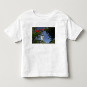 Camiseta De Bebé Pacífico Sur, Polinesia Francesa, Tahití. Hibisco