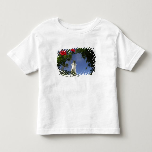 Camiseta De Bebé Pacífico Sur, Polinesia Francesa, Tahití. Hibiscus (Anverso)