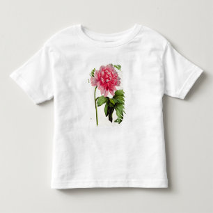 Camiseta De Bebé Paeonia Moutan, c.1799