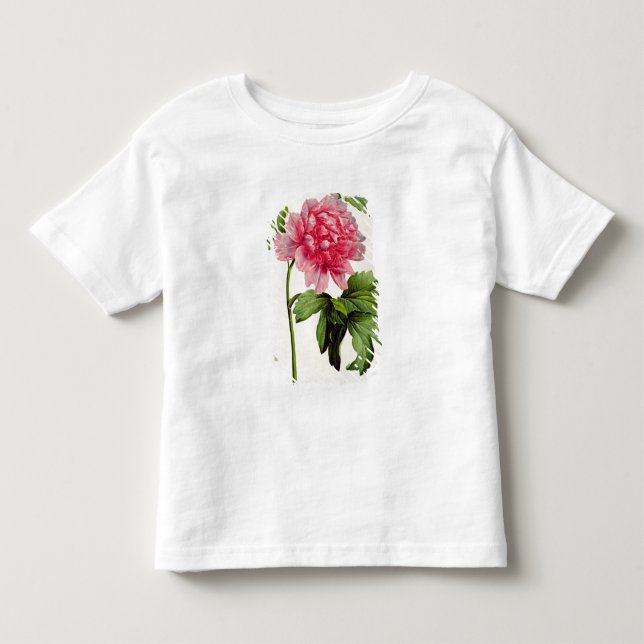 Camiseta De Bebé Paeonia Moutan, c.1799 (Anverso)