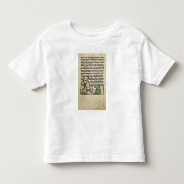 Camiseta De Bebé Página de Roy del texto con el ilustracion de (Anverso)