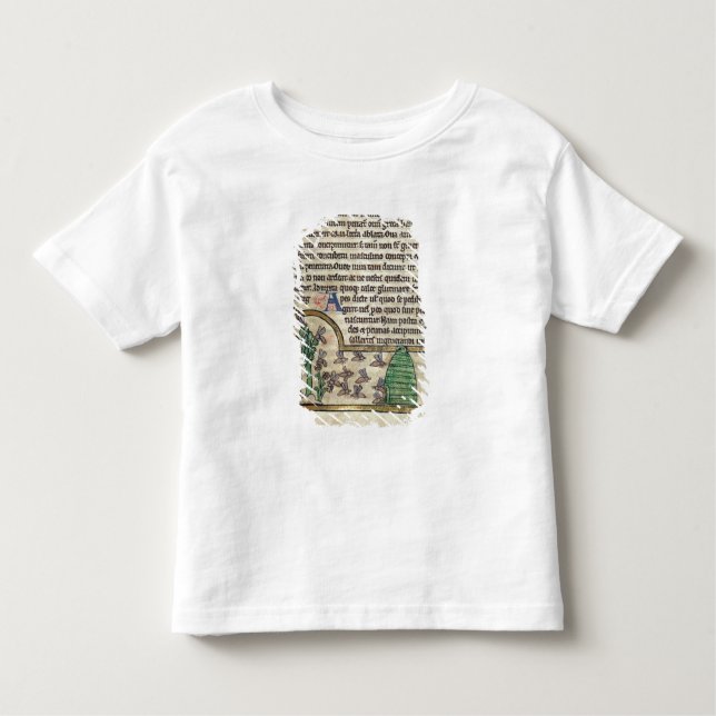 Camiseta De Bebé Página de Roy del texto con el ilustracion de (Anverso)