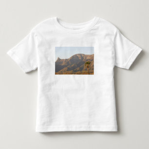 Camiseta De Bebé Paisaje de rancho desértico cerca de Monterrey, Mé