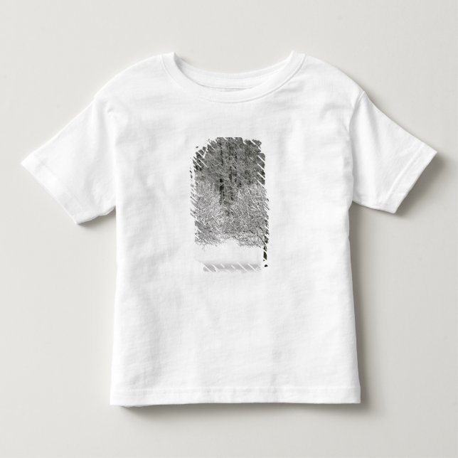 Camiseta De Bebé Paisaje nevado (Anverso)