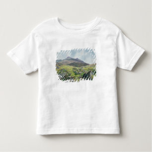 Camiseta De Bebé Paisaje, Snowdon