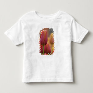 Camiseta De Bebé Países Bajos aka Holanda), Lisse. Keukenhof 6