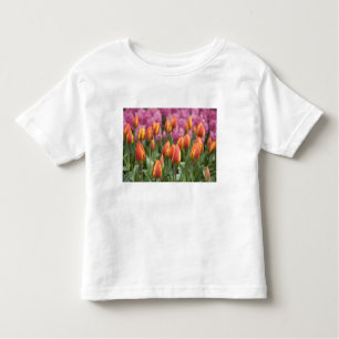Camiseta De Bebé Países Bajos (alias Holanda), Lisse. Keukenhof